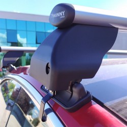 CAM dakdragers aluminium Tesla Model 3 4-dr sedan 2018-heden