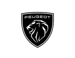 Peugeot Cabrio Windscherm