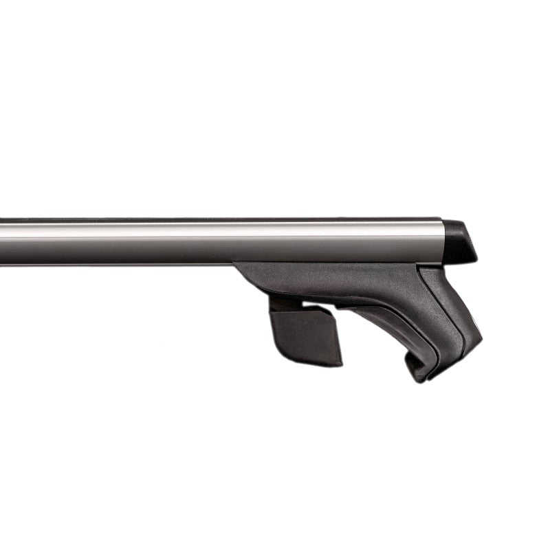 Dakdragers Renault